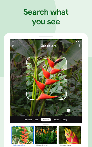 Google Photos screenshot