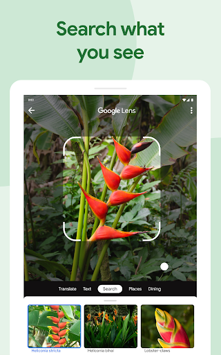 Google Photos screenshot