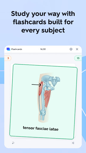 Quizlet: More than Flashcards screenshot