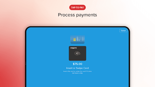 Vagaro Pro screenshot