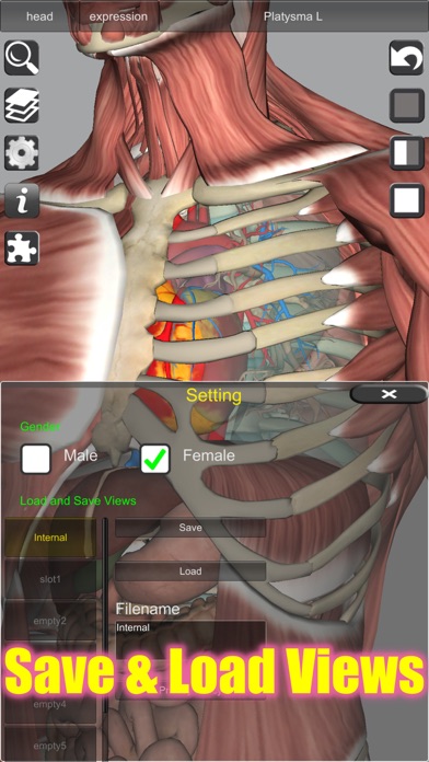 3D Anatomy screenshot