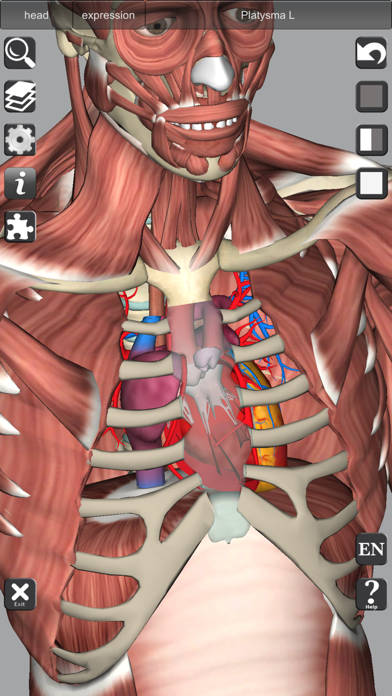 3D Anatomy screenshot