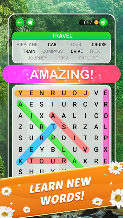 Word Search Explorer screenshot