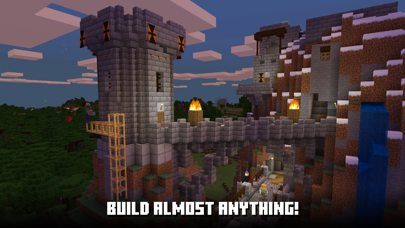 Minecraft: Dream it, Build it! screenshot