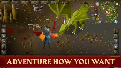 Old School RuneScape screenshot
